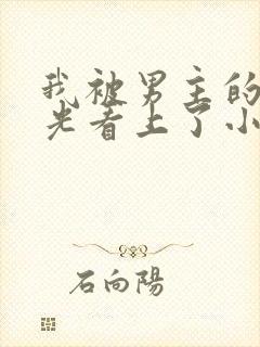 我被男主的白月光看上了小说下载