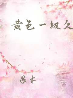 黄色一级久久久
