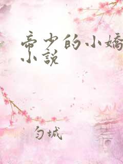 帝少的小娇妻 小说