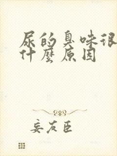 尿的臭味很重是什么原因