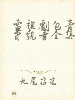 电视剧包青天免费观看全集