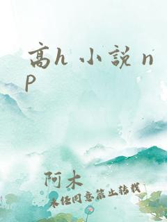 高h 小说 np
