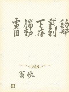 电脑下载的文件自动存到哪了