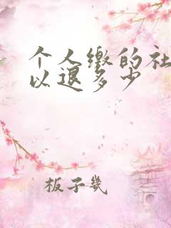 个人缴的社保可以退多少