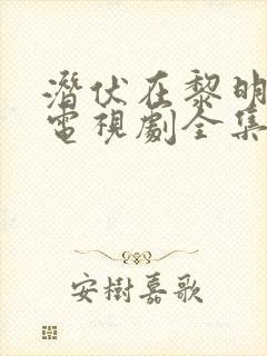 潜伏在黎明之前电视剧全集40