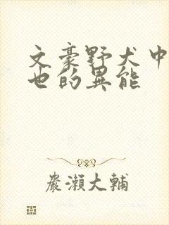 文豪野犬中原中也的异能