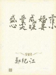 盛爱成婚霍少的心尖暖妻小说