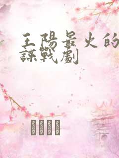 王阳最火的5部谍战剧