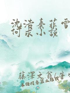 沈浩秦菲雪一生何求小说