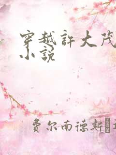 穿越许大茂系统小说