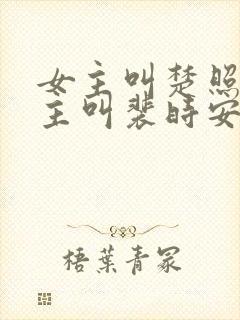 女主叫楚照雪男主叫裴时安的小说