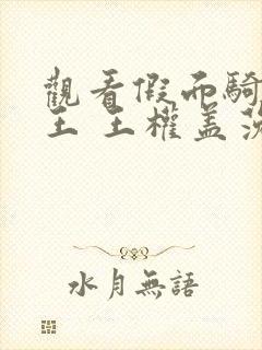 观看假面骑士时王 王权盖茨平台