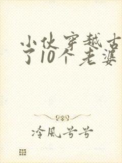 小伙穿越古代娶了10个老婆