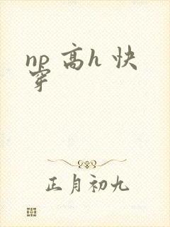 np 高h 快穿