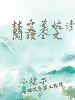 林云叶婉清小说阅读全文