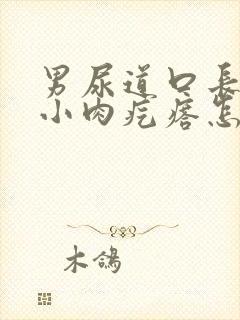 男尿道口长了个小肉疙瘩怎么回事