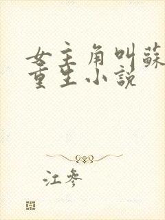 女主角叫苏鸢的重生小说