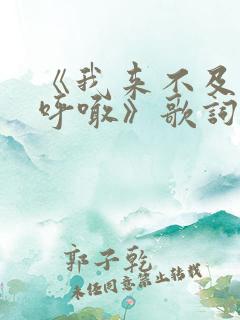 《我来不及大声呼喊》歌词