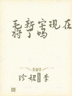 毛新宇现在是中将了吗