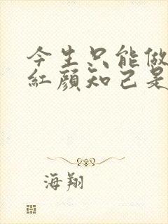 今生只能做你的红颜知己是什么歌