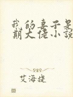 我的妻子是大乘期大佬小说无删减