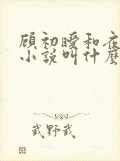 顾初暧和夜景寒小说叫什么