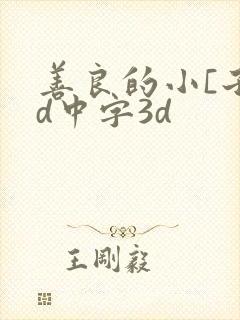 善良的小[子hd中字3d