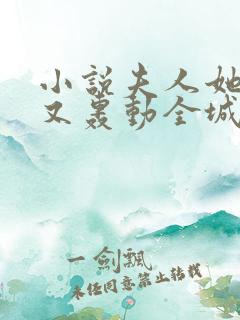 小说夫人她马甲又轰动全城了完全版