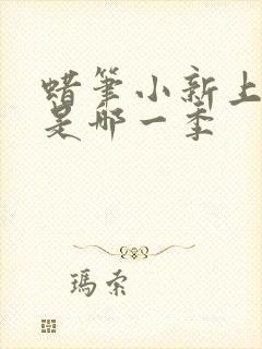 蜡笔小新上小学是哪一季