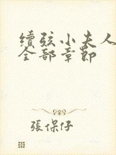 续弦小夫人小说全部章节