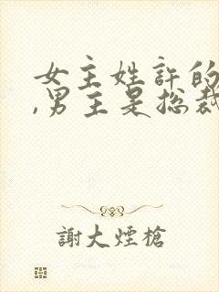 女主姓许的小说,男主是总裁