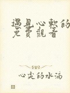 遇见心软的短剧免费观看