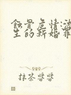 蚀骨危情:沈先生的新婚罪妻 小说