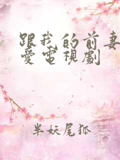 跟我的前妻谈恋爱电视剧