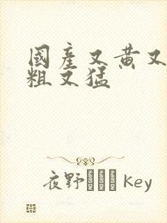 国产又黄又爽又粗又猛