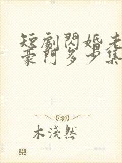 短剧闪婚老公是豪门多少集