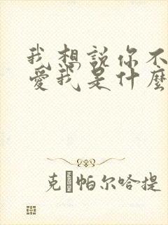 我想说你不是不爱我是什么歌