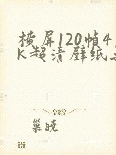 横屏120帧4k超清壁纸无水印