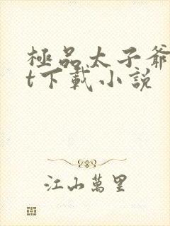 极品太子爷txt下载小说