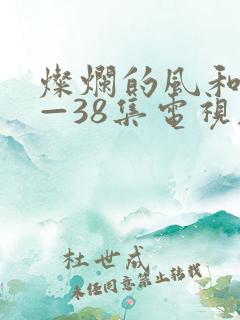 灿烂的风和海1—38集电视剧