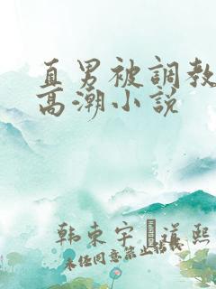 直男被调教玩弄高潮小说