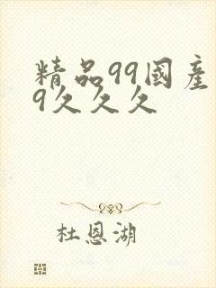 精品99国产99久久久