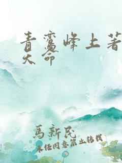 青鸾峰上著无敌天命