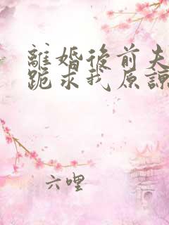 离婚后前夫全家跪求我原谅短剧