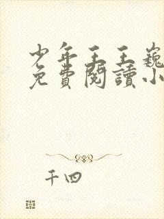 少年王王巍全文免费阅读小说