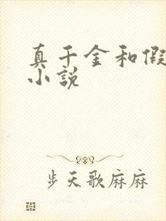 真千金和假千金小说