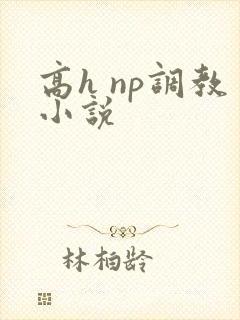 高h np调教小说