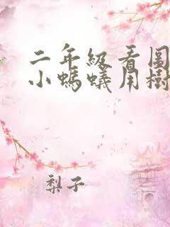 二年级看图写话小蚂蚁用树叶过河