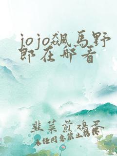 jojo飙马野郎在哪看