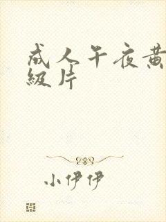 成人午夜黄色一级片